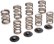 Manley Valve Springs