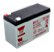 Yuasa AGM Mini Batteries