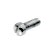 Slotted Fillister Head Screws Chrome-plated