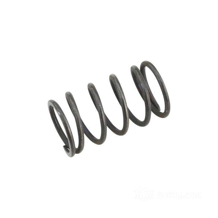 Springs for Solenoid Plunger