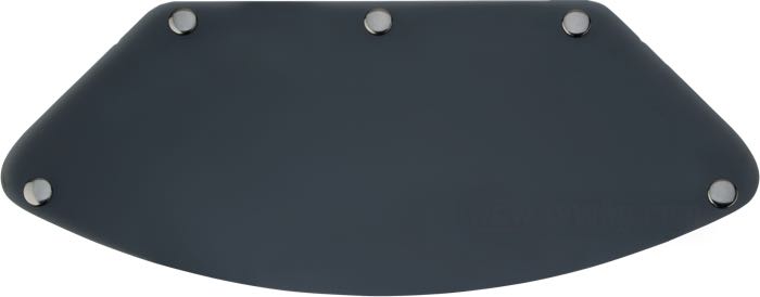 Visière de Biltwell Inc.; pour Casques intégraux Gringo; polycarbonate, fumé; taille: L; poids brut: 101 g