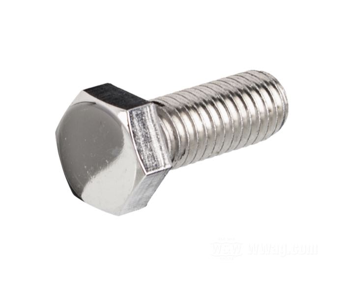 Hex Head Screws Stainless Polished