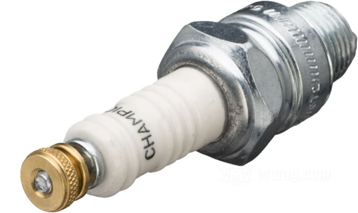 Dado zigrinato di Brillman; per Candela; ottone; altezza: 6 mm; Ø 9.5 mm; filettatura: M4; U.S.A.; peso lordo: 2 g