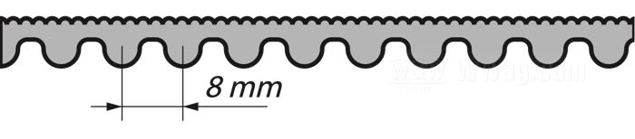 BDL 8 mm Primary Belts