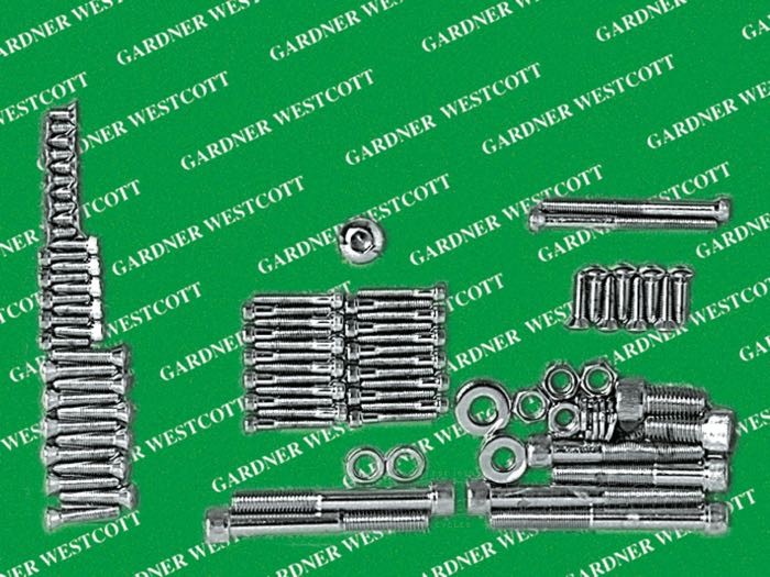 Set viti e bulloni per motore e transmissione: Panhead