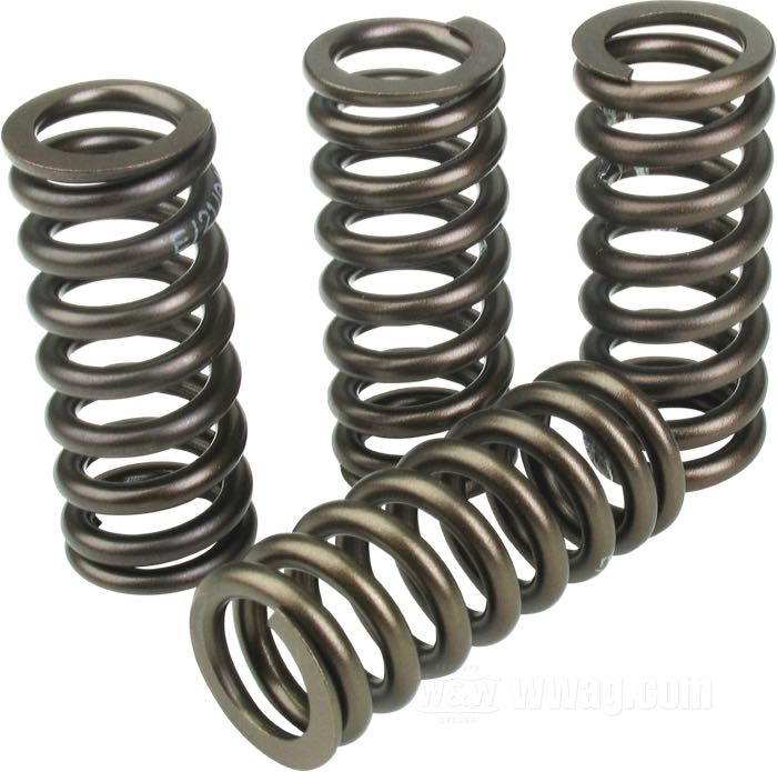W&W Cycles Valve Springs Eibach Valve Springs WR Flathead