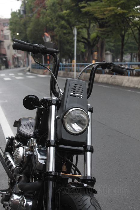 Fairing »Enduro« by Fork; fits Sportster, FX and Dyna forks; cast aluminum, cast finish; width x height: 152 x 320 mm; Japan; gross weight: 1.25 kg