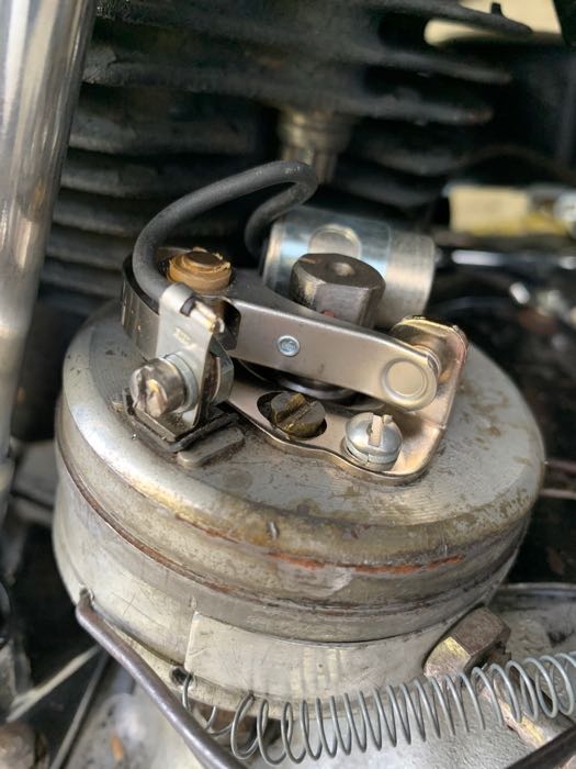 Einstellschraube von Colony; für Unterbrecherkontakt; passend für Big Twin 1949-early 1963 und 1965-1969, Sidevalves 1949-1970, Sportster 1957-1970; Messing; Nettogewicht: 0.8 g; ersetzt OEM HD 30507-47A; USA; Bruttogewicht: 2 g
