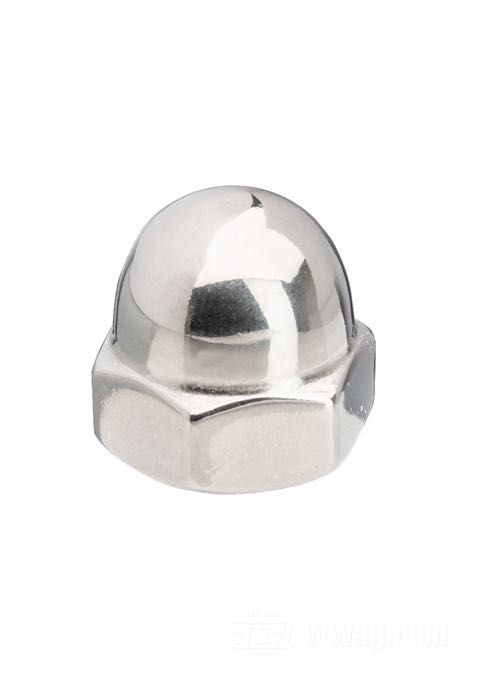 Acorn Nuts Stainless