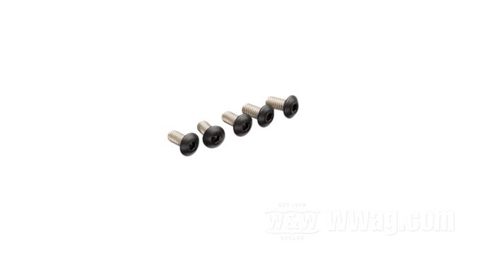 Screw Kits for Timer Cover: Twin Cam 1999-2017