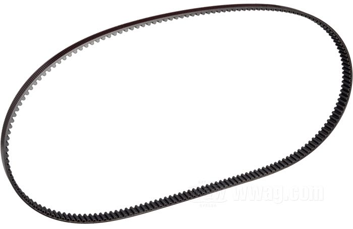 Livewire Rear Drive Belts