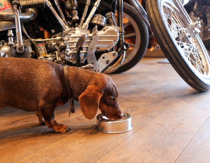 Air cleaner »Dog Dish« by The GasBox; for CV carburetors and EFI; aluminum, polished; depth: 45 mm; Ø 140 mm; with filter element; gross weight: 453 g