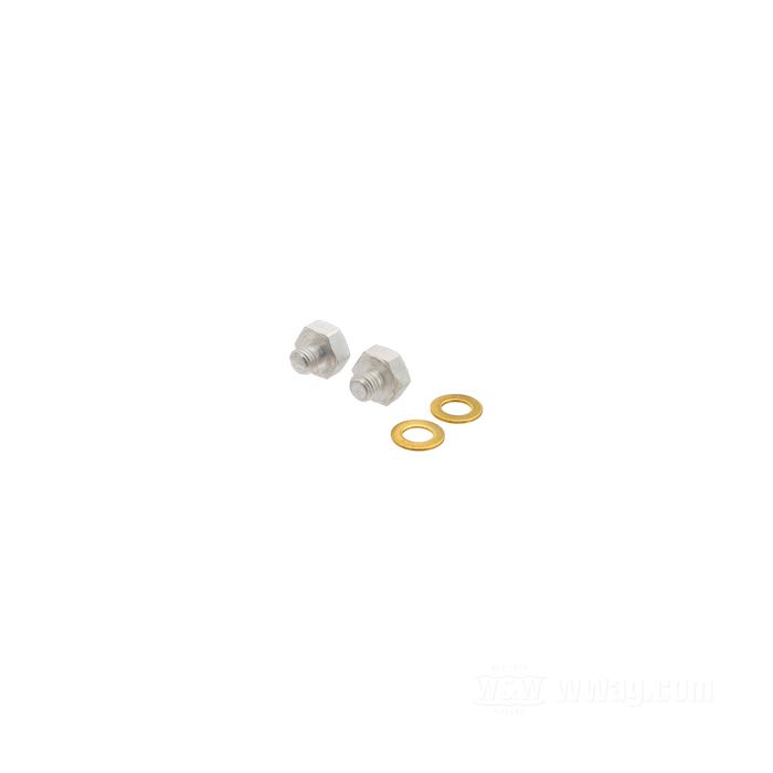 Tappo spurgo; per Foderi; atto per KH,XL,XLH,XLCH 1954-1967, FX 1971-1972; acciaio, CAD (procedimento ZnNi); filettatura: M6 x 1.0; con rondelle di tenuta; rimpiazza OEM HD 46201-52 e 6218W; peso lordo: 20 g
