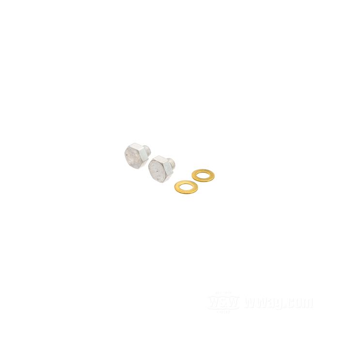 Tappo spurgo; per Foderi; atto per KH,XL,XLH,XLCH 1954-1967, FX 1971-1972; acciaio, CAD (procedimento ZnNi); filettatura: M6 x 1.0; con rondelle di tenuta; rimpiazza OEM HD 46201-52 e 6218W; peso lordo: 20 g