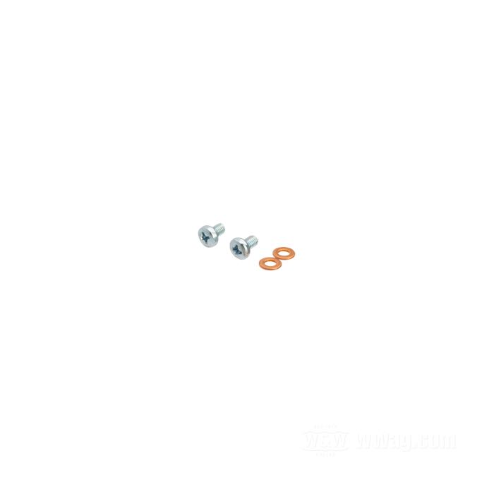 Tappo spurgo; per Foderi; atto per FX 1978-1985, Sportster 1973-2013, tutti modelli FXR, Softail Deuce 2001-2007, Dyna 1991-2005; acciaio; filettatura: M4 x 0.5; con rondelle di tenuta; rimpiazza OEM HD 45790-80; U.S.A.; peso lordo: 10 g