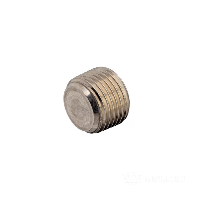 Plug; stainless steel; thread: 3/8”-18 NPT; gross weight: 10 g