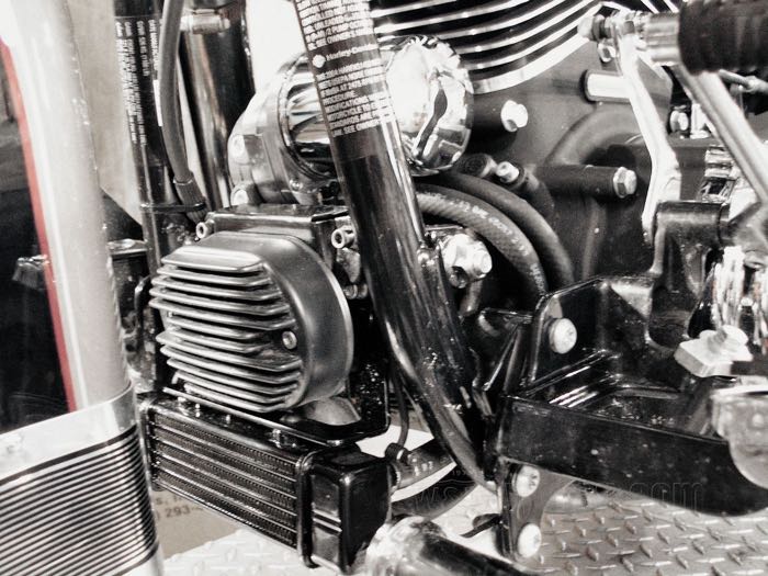 W&W Cycles - Jagg Slimline Ölkühler universal für Harley-Davidson
