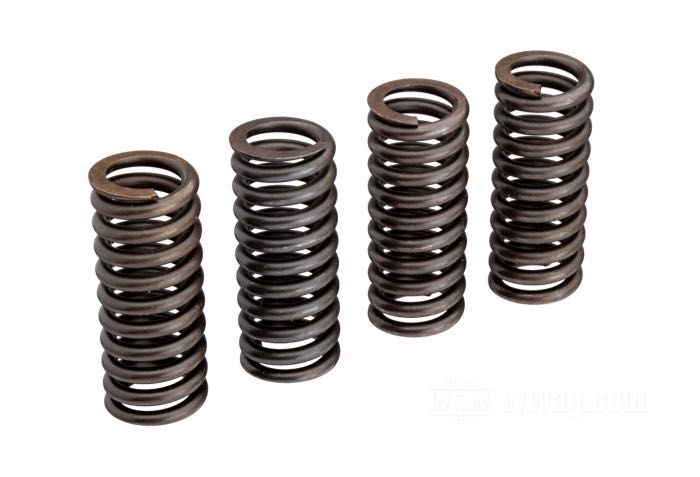 Valve Springs OEM Replacement