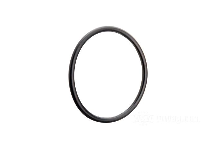 O-ring per ingranaggio primario