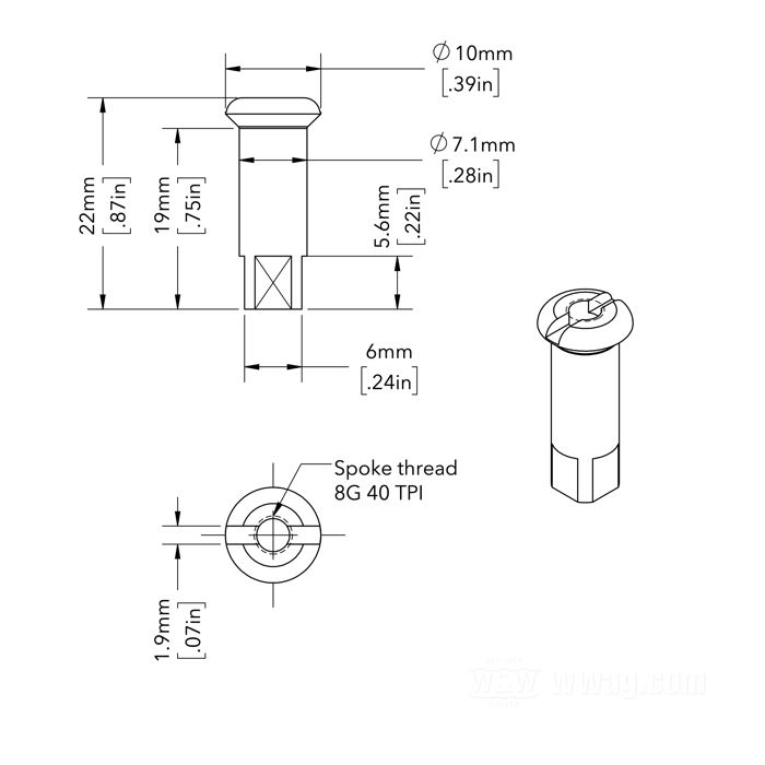 Speichennippel von The Cyclery; passend für alle Modelle 1930-1959, außer an Vorderrädern mit Bremstrommel-Halbnabe; Stahl, blank; Länge: 22.5 mm; Ø 7 mm; Gewinde: 8G-40; ersetzt OEM HD 3947-29 und 43099-29; Deutschland; Bruttogewicht: 5 g