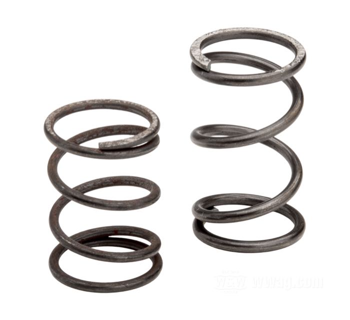 Spring kit; fits chain tensioner kit WW 80-569 and 80-488; spring steel; gross weight: 16 g