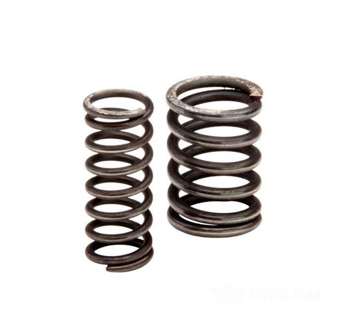 Spring kit; fits chain tensioner kit WW 80-687; spring steel; gross weight: 16 g