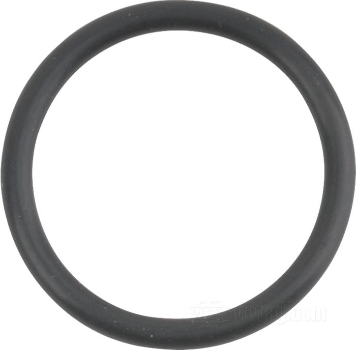 W&W Cycles - O-Ring