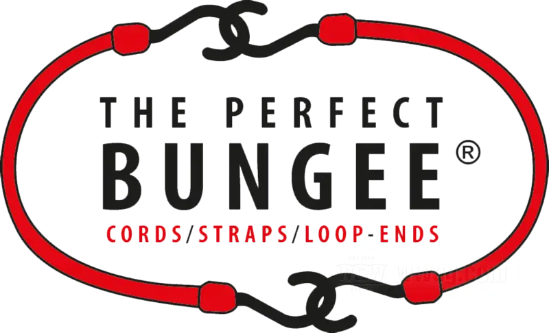 The Perfect Bungee