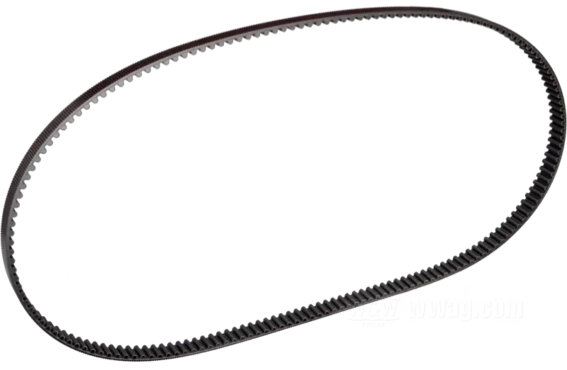 Sekundärriemen für LiveWire