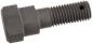 Brake Anchor Bolt