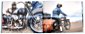 Inline Gallery Thumbnail