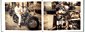 Inline Gallery Thumbnail