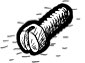 Slotted Fillister Head Screws