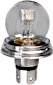 Bulbs R2 (P45t)