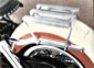 Inline Gallery Thumbnail