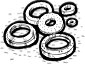 Gaskets for Fork