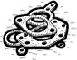 Gaskets for Carburetor and Injection
