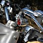 Inline Gallery Thumbnail