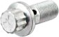 Zinc-Plated 12 Point Banjo Bolts