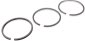 Inline Gallery Thumbnail