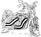 FXR et Dyna