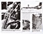 Inline Gallery Thumbnail