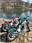 Inline Gallery Thumbnail