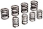 Valve Springs OEM Replacement