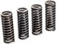 Valve Springs OEM Replacement