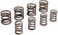 Valve Springs OEM Replacement