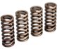 Eibach Valve Springs WR Flathead