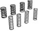 Andrews Valve Springs