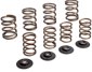 Manley Valve Springs