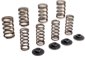 Manley Valve Springs